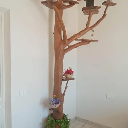 بيت للعطل Sharon House 67